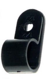 Hollywood HCC  - 3