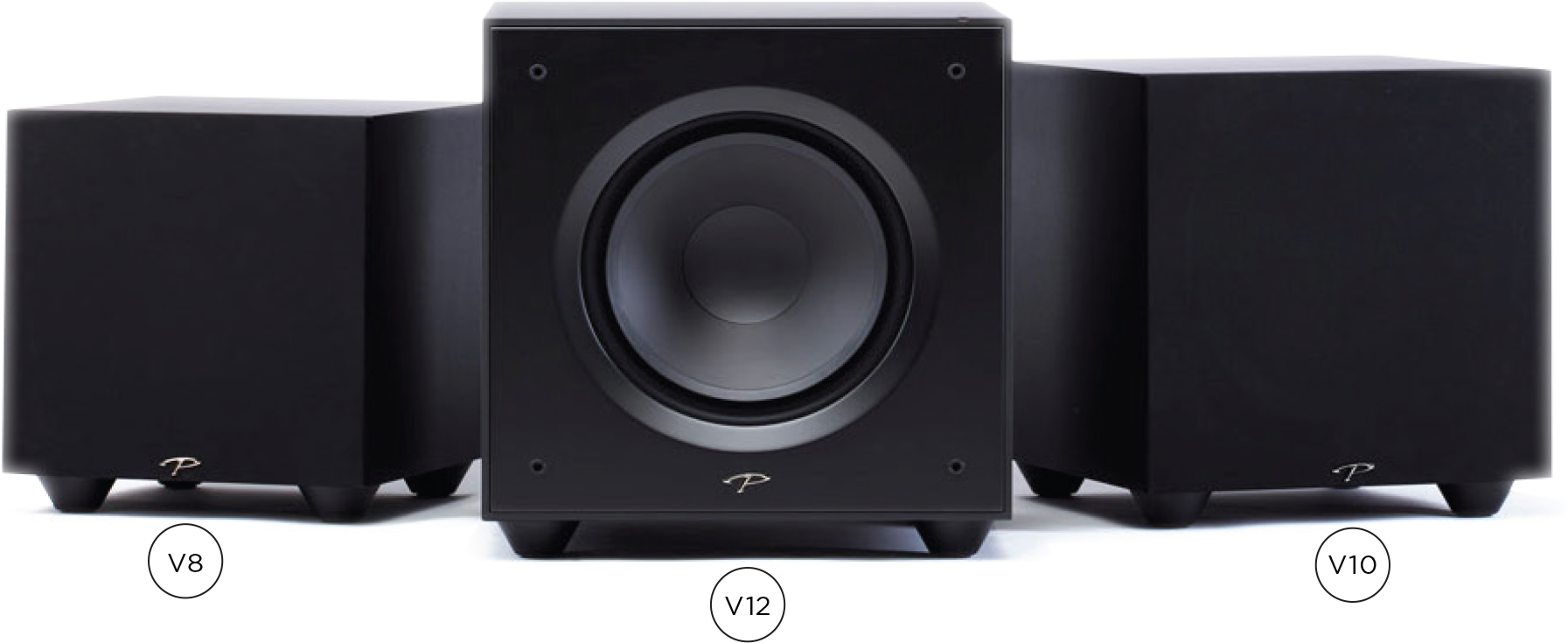 Paradigm Defiance V12 - 5