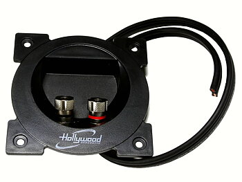Högtalarterminaler