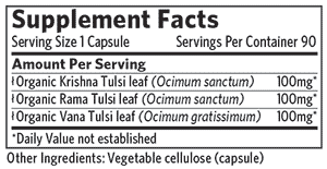 Tulsi / Helig Basilika Eko. 90kaps Organic India - 3