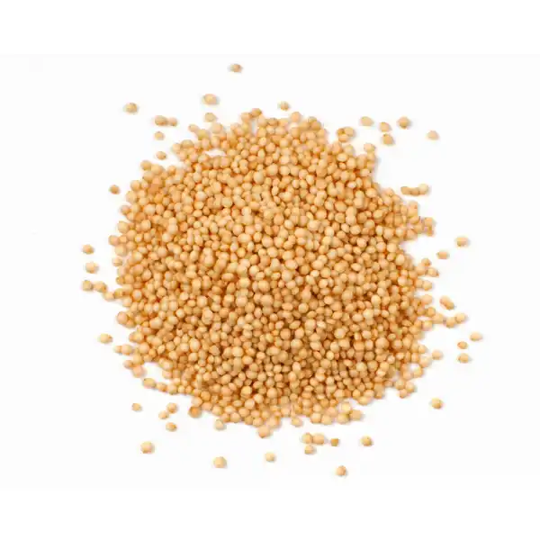Amaranth Eko., 500g, Biofood - 2