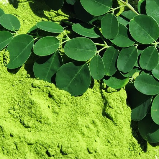 Moringa Churna Eko. 80g Cosmoveda - 2