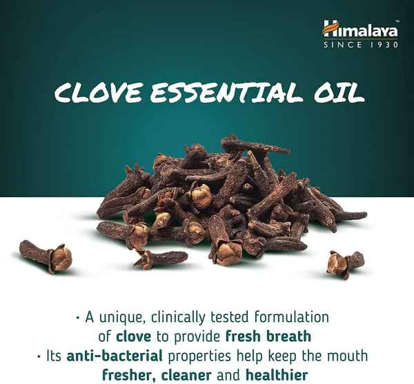 Dental Cream Clove Tandkräm 100g, Himalaya - 2