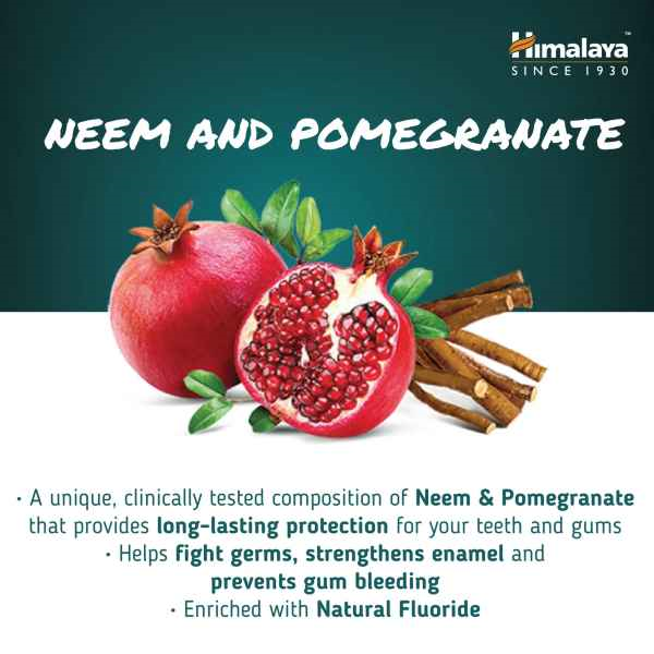 Dental Cream Neem & Pomegranate Tandkräm 100g, Himalaya - 2