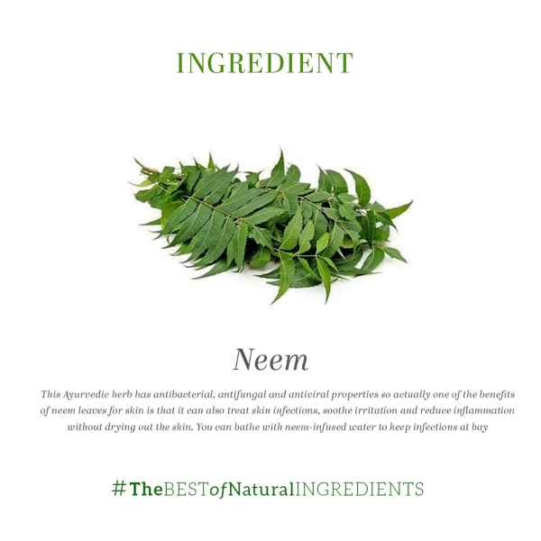 Neem Face Pack 50g, Khadi Natural - 3