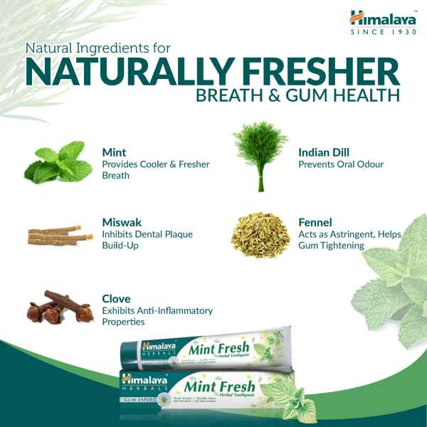   Mint Fresh Toothpaste 75ml, Himalaya - 2