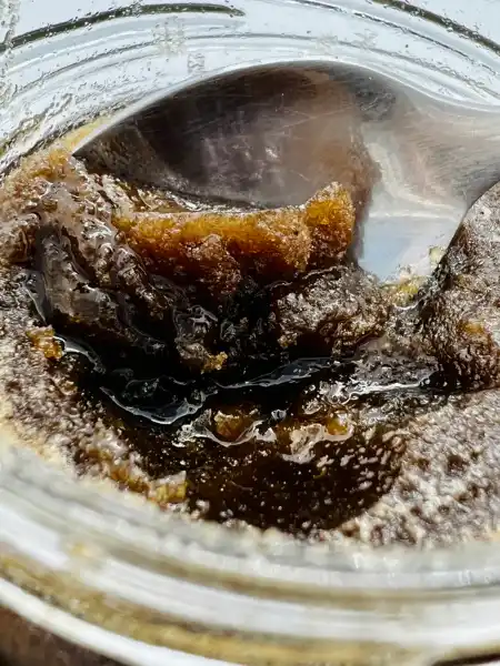 Shilajit in Honey, 240g, Deiva - 3