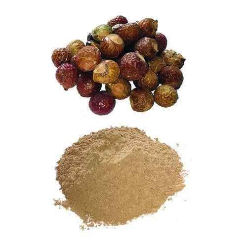 Aritha (Soapnut) Powder 100g, Hesh - 2