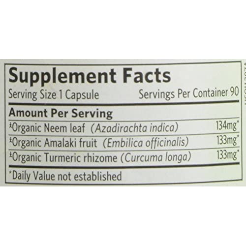 Skin Renew Eko. 90kaps, Organic India  - 2