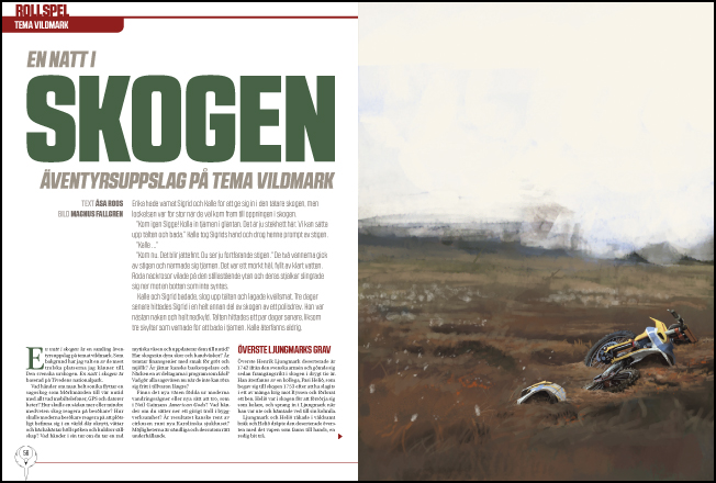 Fenix nr 4, 2018 - 11