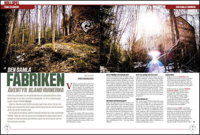 Fenix nr 4, 2018 - 10
