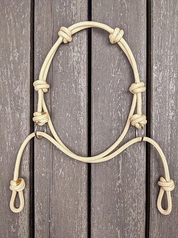 Indianhackamore med ringar