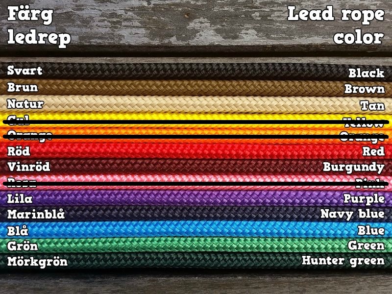 Ledrep med pistolhake och repsnärt - 14 mm - 6