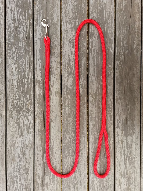 Leash with bolt snap - 10 mm - 2