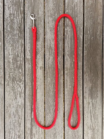 Leash with bolt snap - 10 mm