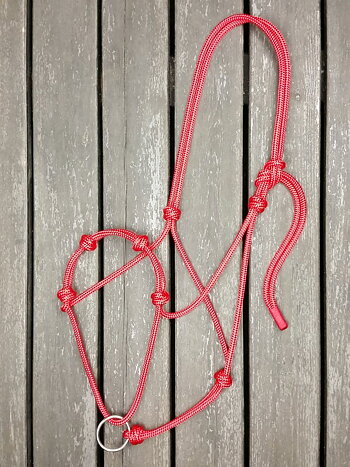 Rope halter with running lead rope ring
