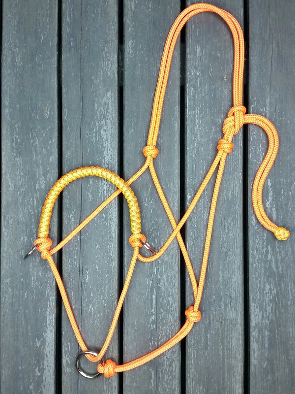 Braided rope halter with sliding lead rope ring - 2