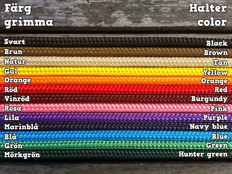 Standardrepgrimma - 4