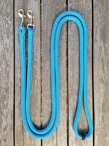 Loop reins