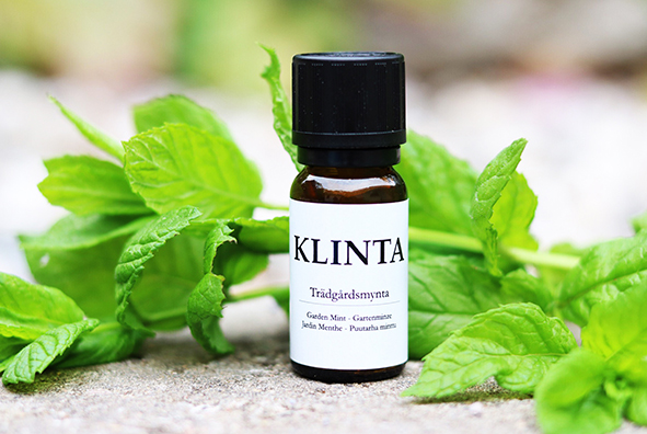 Doftolja eterisk - 10 ml - 4
