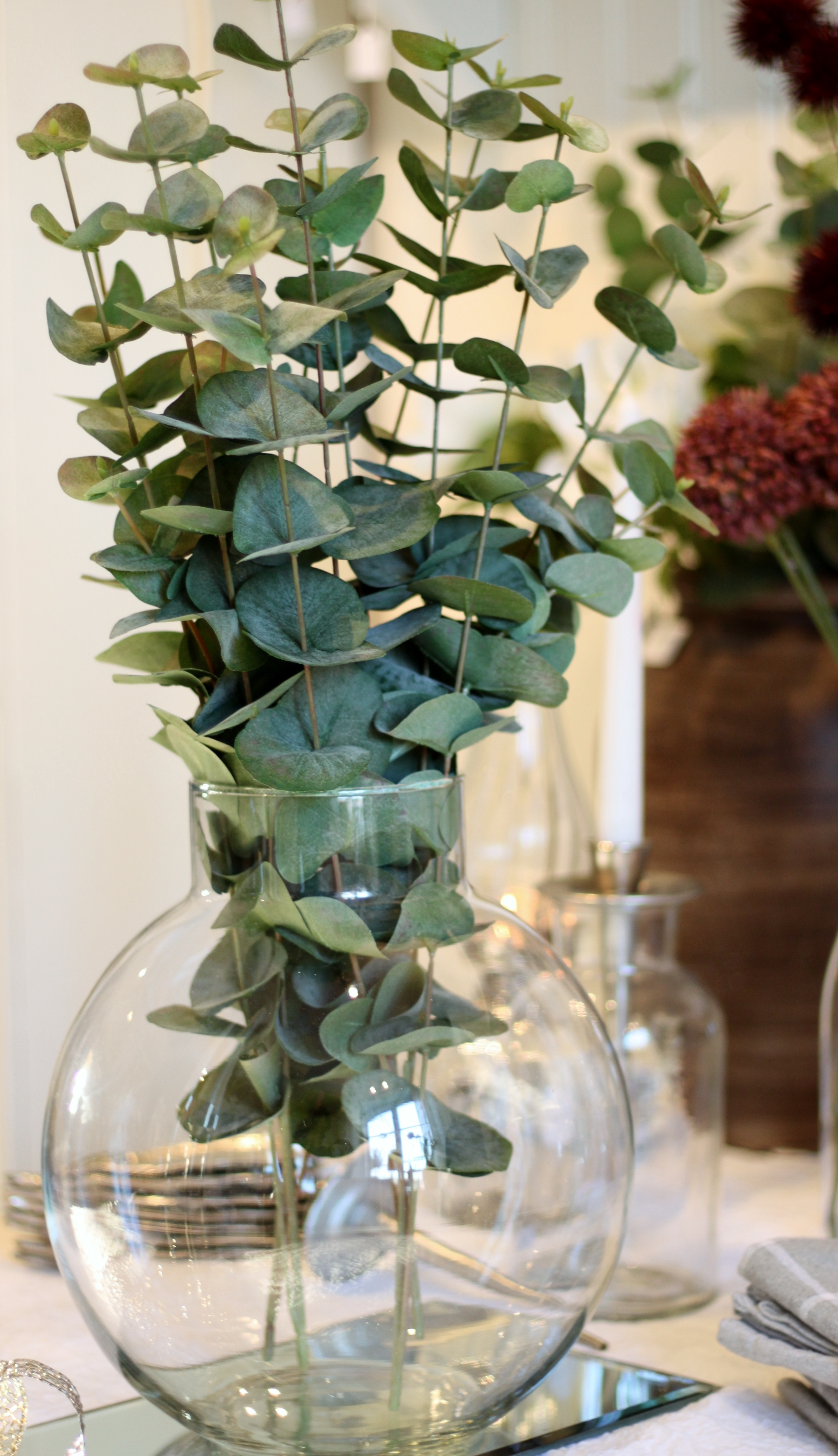 Eucalyptus 60 cm  - 2