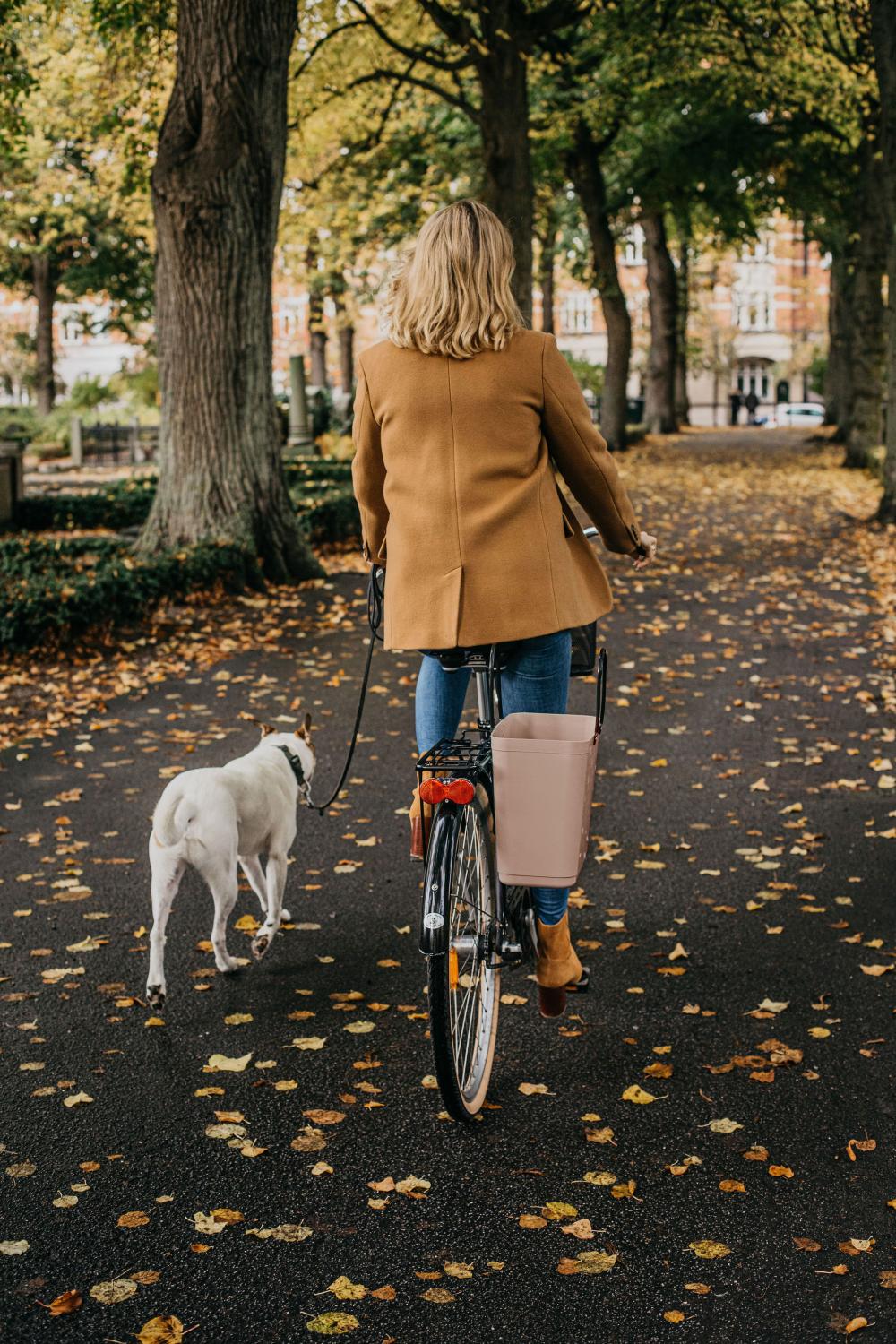Hinza med cykelfäste grå - 6