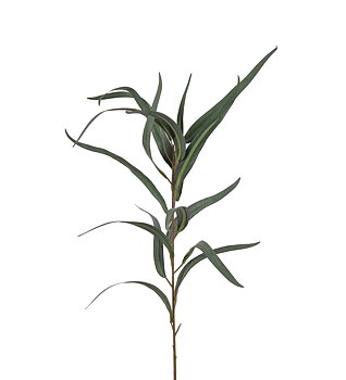 Eucalyptus 60 CM
