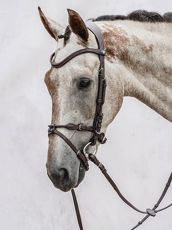 bridle sweden ps hve hackamore