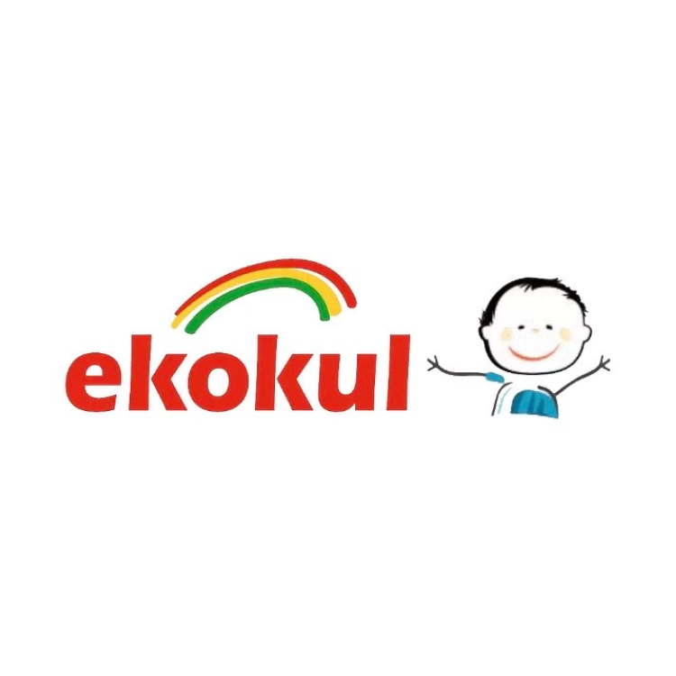 Ekokul - from dream to successful e-commerce