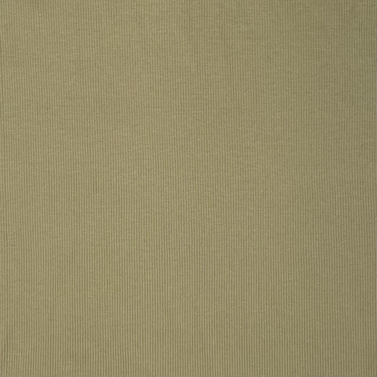 Rib 2x1 Lt Green