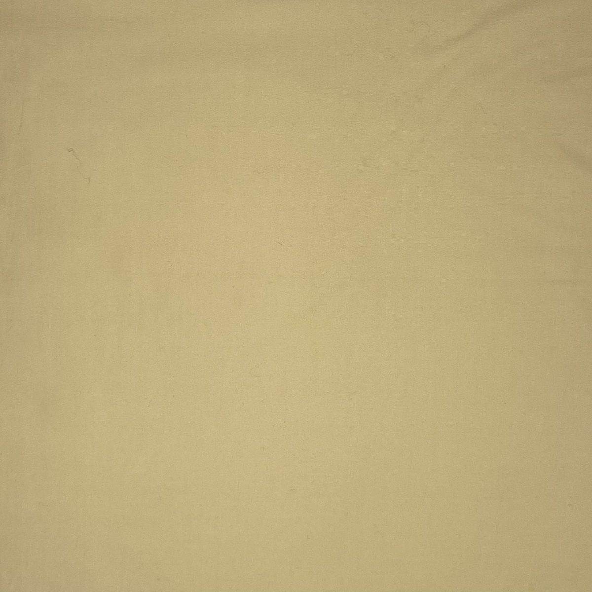 Cotton Popeline Beige
