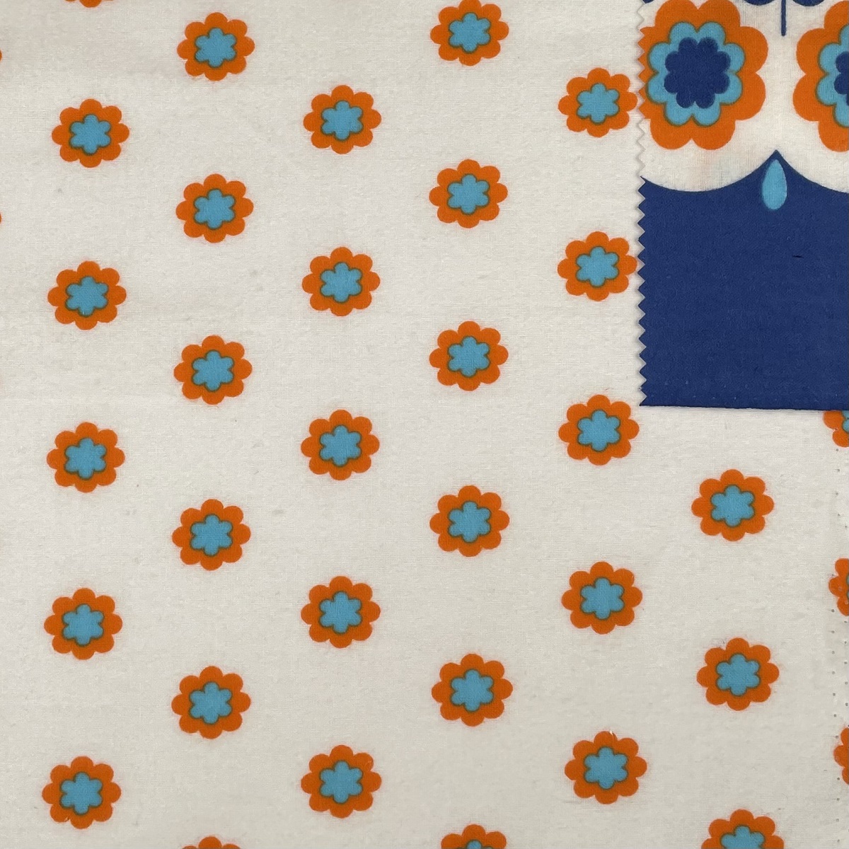 Flanel Flower Border Blue