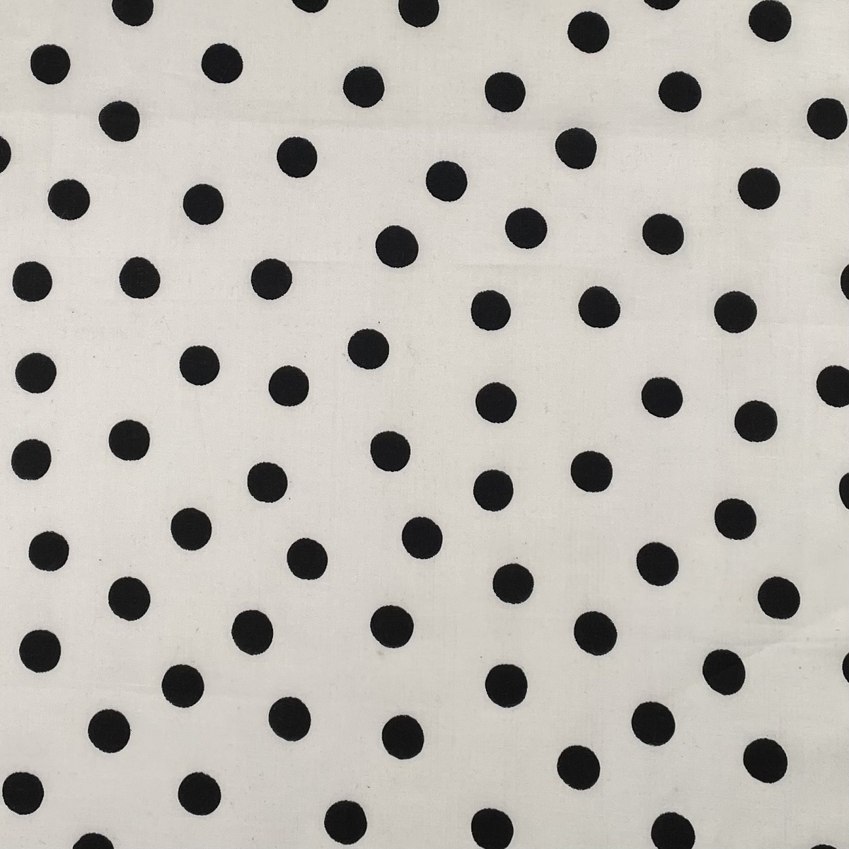 Retro Large Dot Black