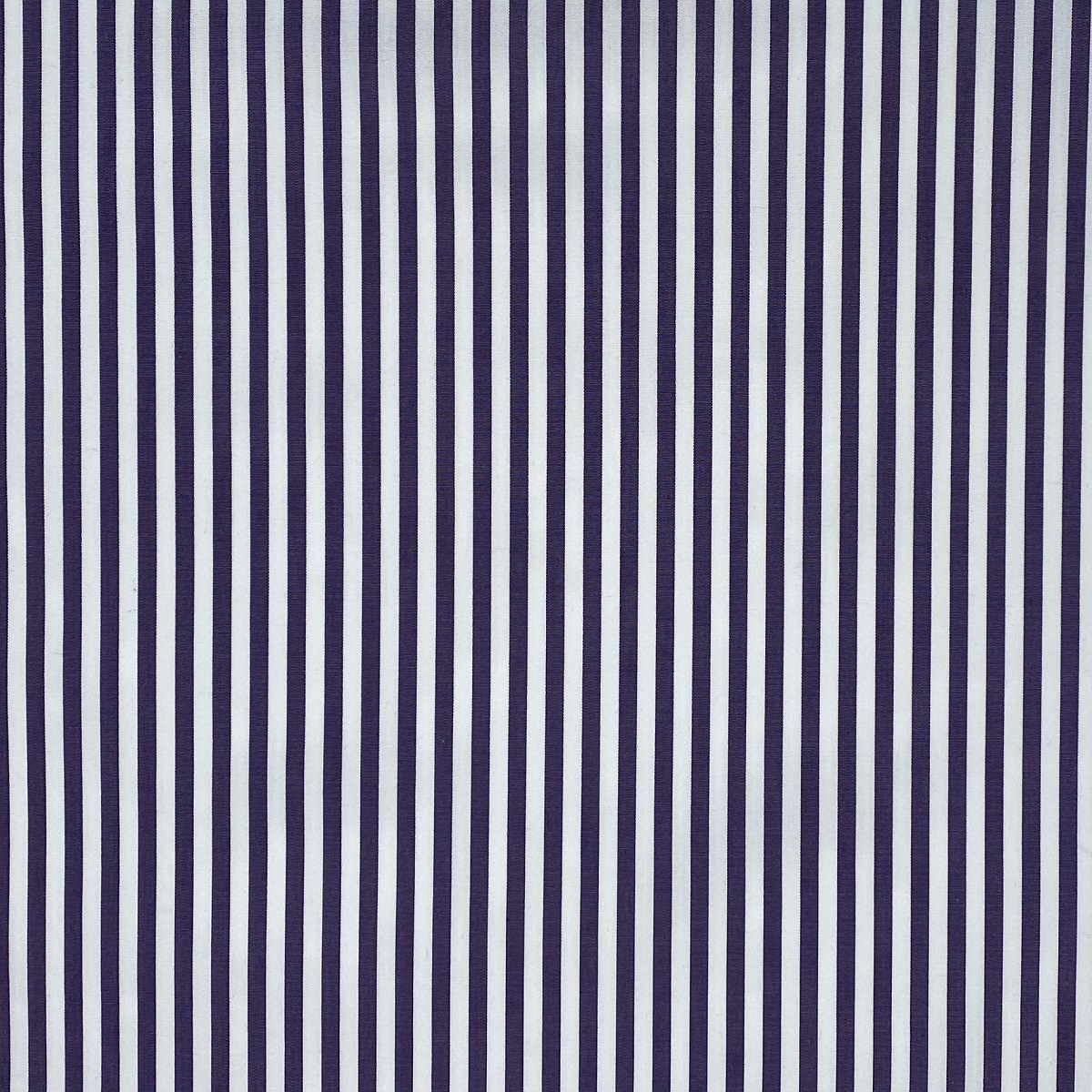 Cotton Popeline Striped Purple