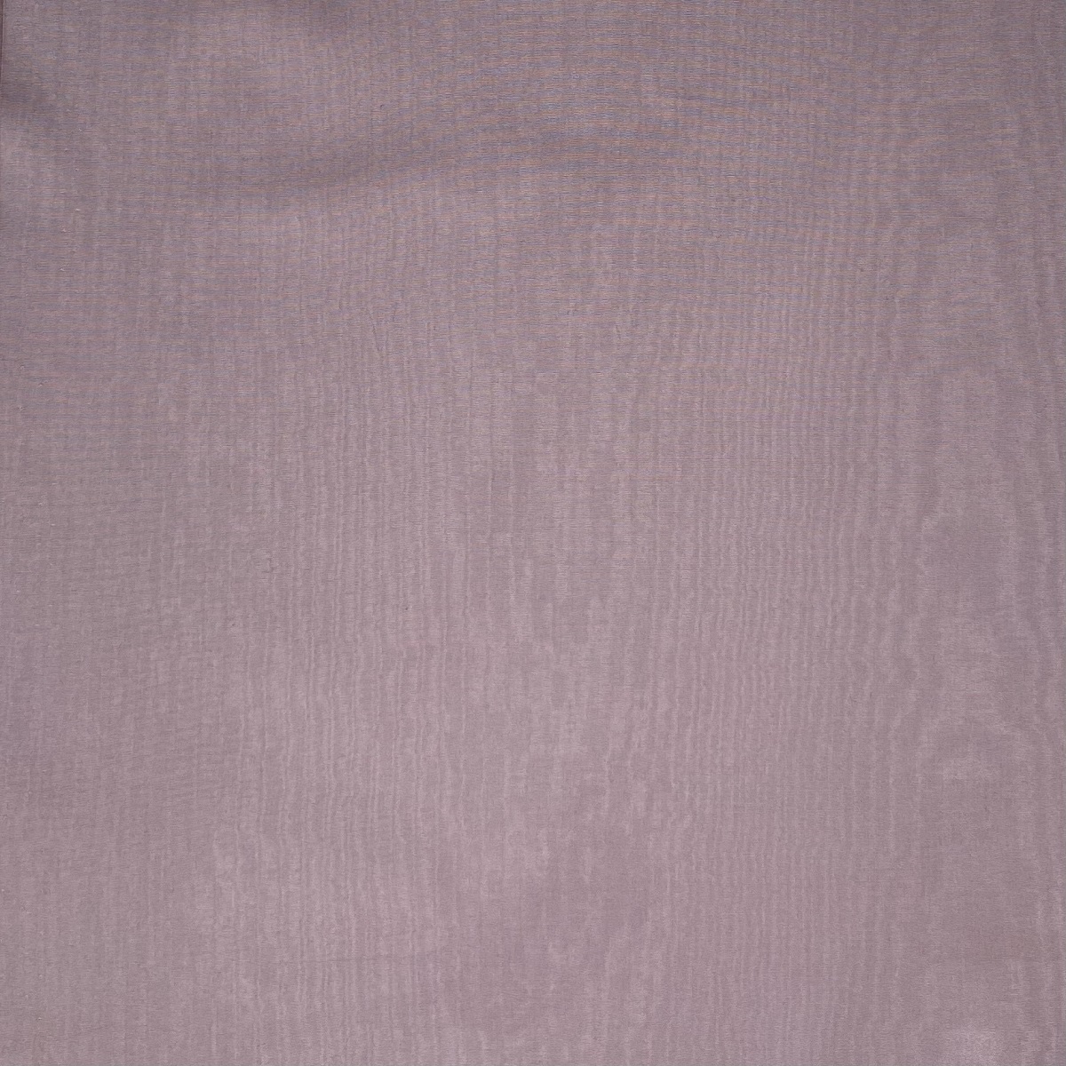 Woven Cotton Pale Lilac