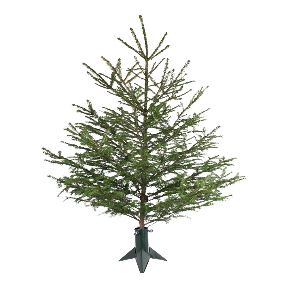 JULGRANSFOT - LITEN - GRÖN