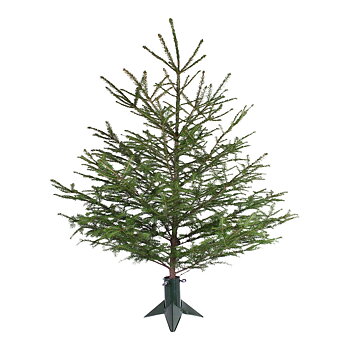 JULGRANSFOT - LITEN - GRÖN
