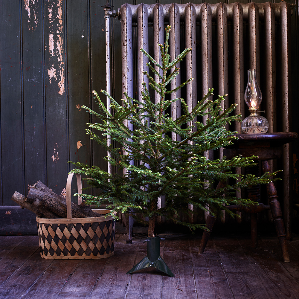 JULGRANSFOT - LITEN - GRÖN - 4