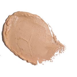 Studio Foundation - Oyster