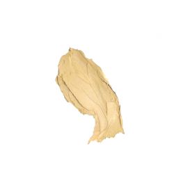 Concealer - Olive
