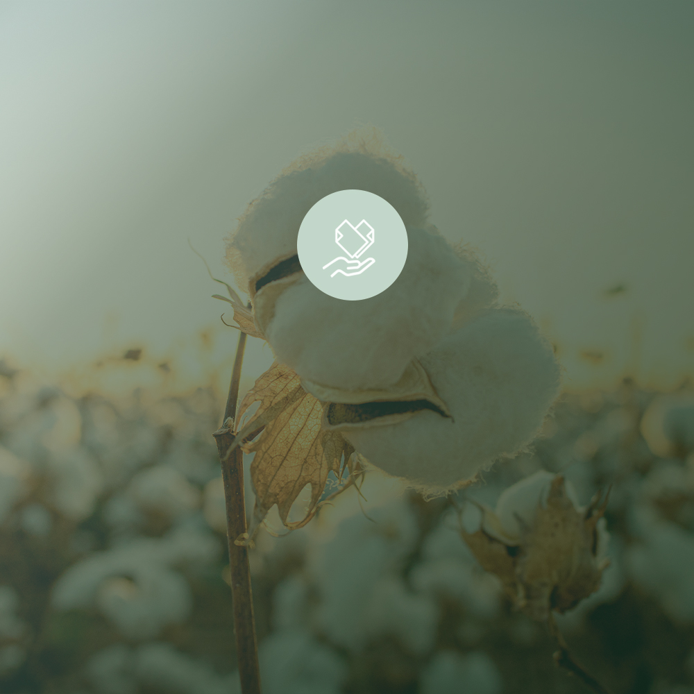 About us  Read more about how we work