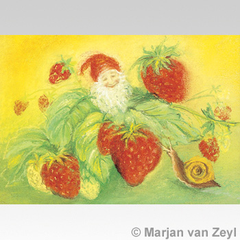 Konstkort M.v. Zeyl Sommarsnigel 