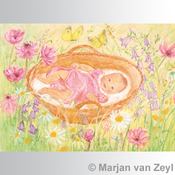Konstkort M.v. Zeyl Baby in Basket 