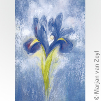 Konstkort M.v. Zeyl Iris