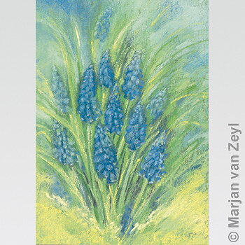 Konstkort M.v. Zeyl Hyacinth