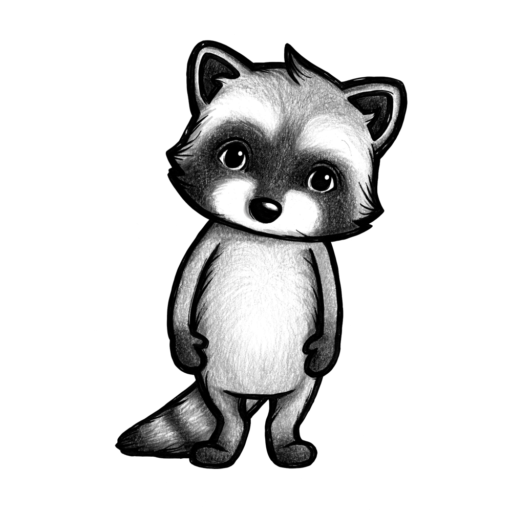 Mr. Cool der Waschbär