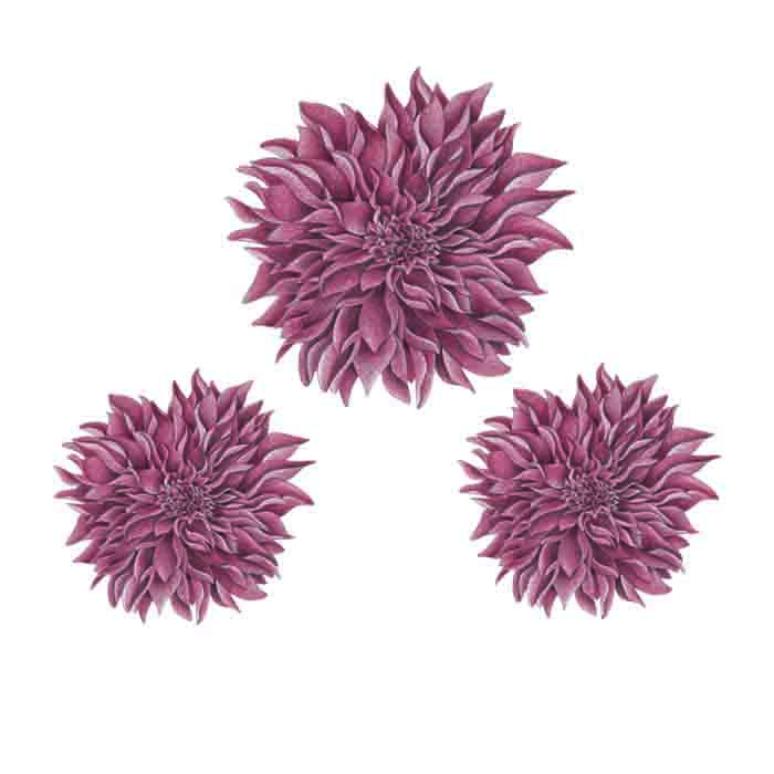 Röda Dahlias