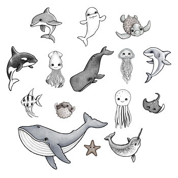 15 havsvänner-kitet