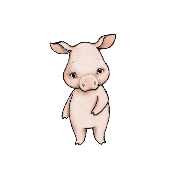 Cassie the Pig