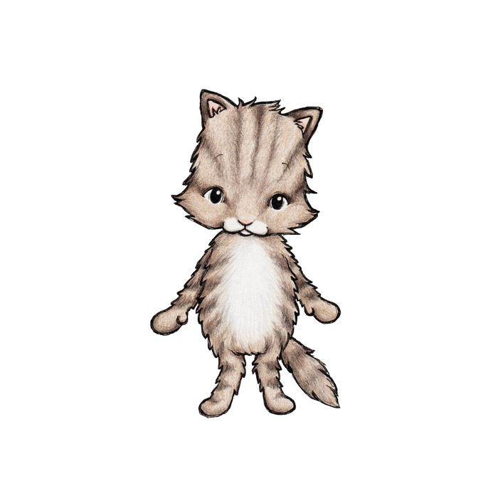 Chat katten